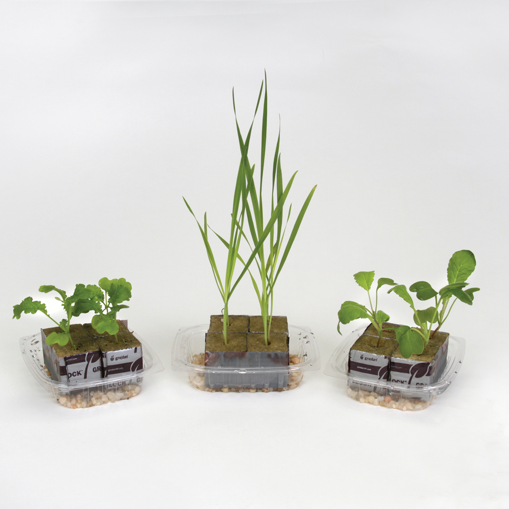 Hydroponics and Sustainability Kit
